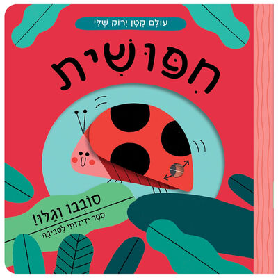 עולם קטן ירוק שלי חיפושית – דפי קרטון
