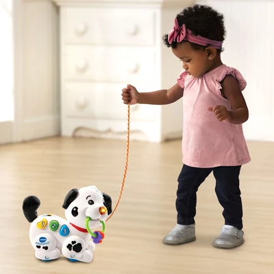 כלבלב דלמטי vtech