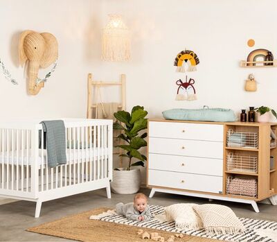 שידה לתינוק הרמוני חלב שקדים+אגוז