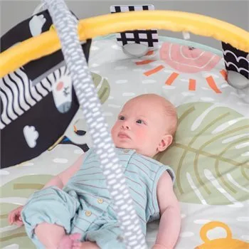 משטח פעילות סוואנה 360