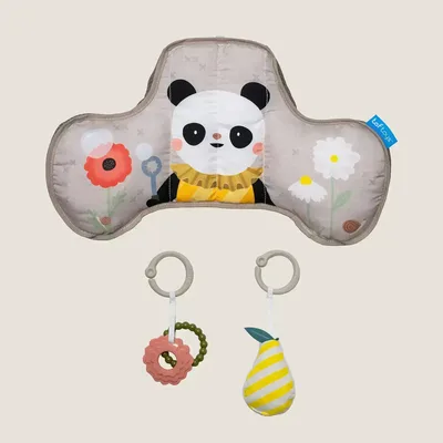 כרית התפתחותית פנדה